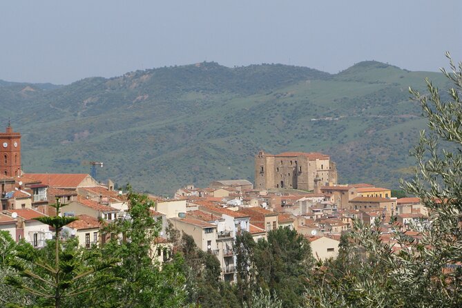 Full Day Private Tour in Medieval Villages and Vineyard in Cefalù - Private Transportation and Exclusivity
