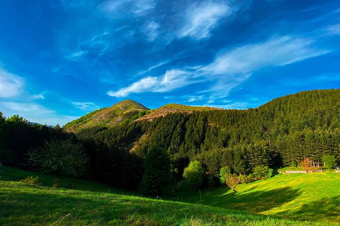 Full Day Tirana City & Dajti National Park, Private Tour - Cancellation and Refund Policy