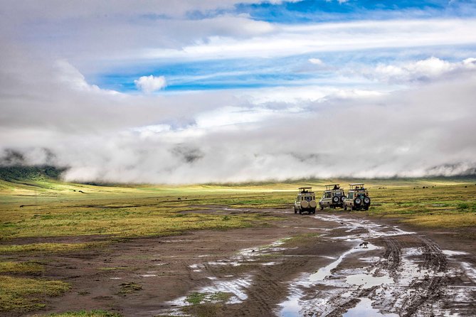 Full Day To Arusha National Park - Cancellation Policy