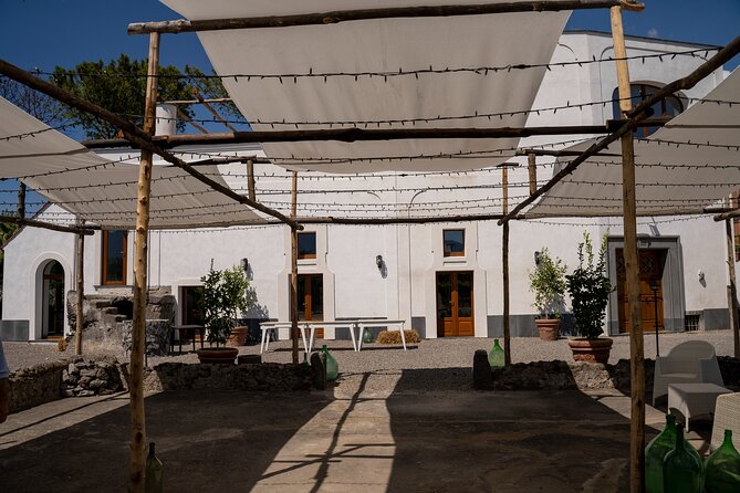 Full Day Tour in Pompei With Winery Lunch - Cancellation and Refund Policy
