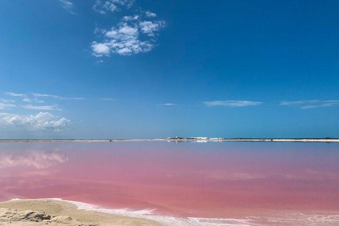 Full Day Tour in Rio Lagartos and Coloradas With Lunch - Tour Highlights and Experiences