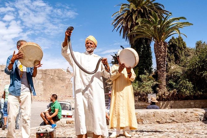 Full-Day Tour of Tangier in Morocco From Seville - Customer Service Response