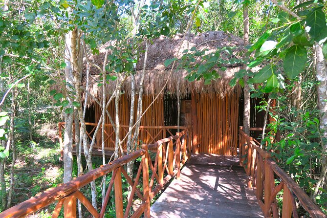 Full-Day Tour of Tulum Ruins and Cenotes With Lunch - Taking in the Cenotes