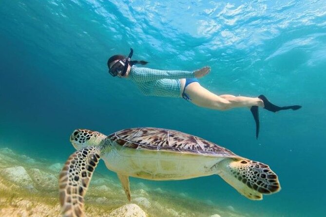 Full Day Tour to Tulum Cenote and Swim With Turtles in Akumal - Explore Tulum Cenote