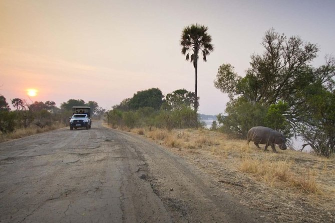 Game Drive in Mosi-Oa-Tunya National Park - Preparing for Your Game Drive