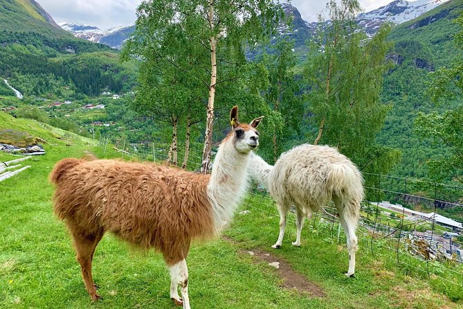 Geiranger Tour in the Footsteps of Royalty  - Andalsnes - Ensuring Optimal Tour Timing and Convenience