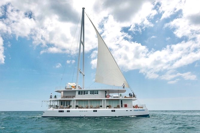 Giant Loop Cruise Mirissa - Guest Reviews