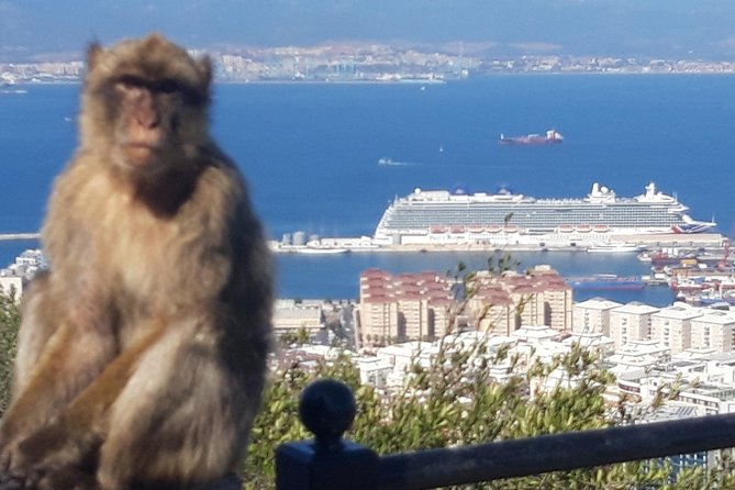Gibraltar Sightseeing :SKYWALK AND SUSPENSION BRIDGE TOUR (Private) - Cancellation and Refund Policy
