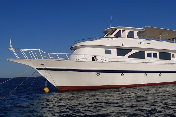 Giftun Islands Snorkeling Trip With Lunch and Water Activities - Customer Feedback