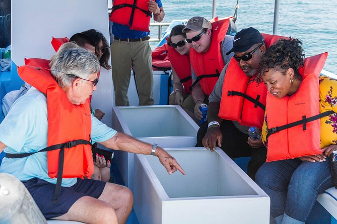 Glass-Bottom Boat Ride and Snorkel Tour in Cabo San Lucas - Optional Photo Enhancements