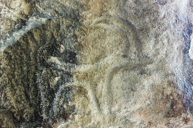 Gobustan and Mud Volcanoes PRIVATE TOUR - Enjoying the Included Lunch