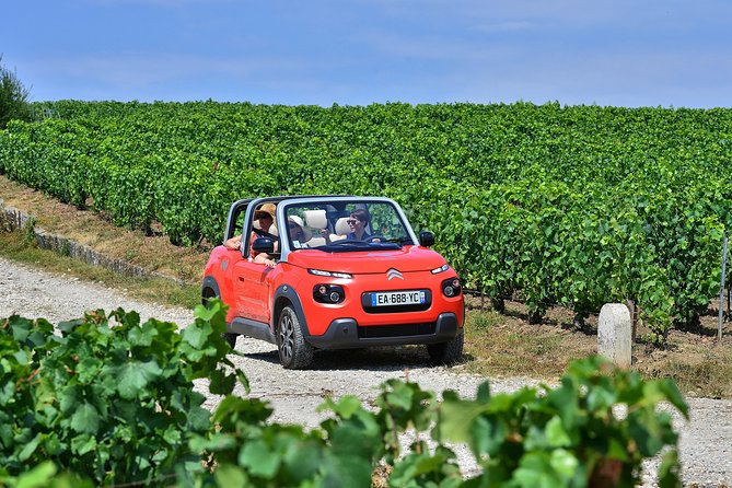 Gold Champagne Experience From Epernay (Private Full Day Tour) - Private Guide and Transport