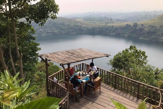 Gorilla and Chimp Experience Holiday - Traveler Reviews and Ratings