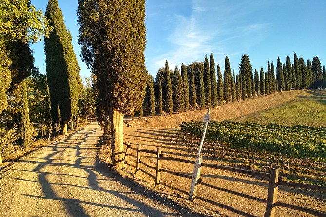 Grand Tour of Pienza, Montalcino, Montepulciano + Wine and Cheese Tasting - The Sum Up