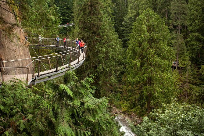 Grouse Mountain & Capilano Suspension Bridge Park - Booking Information