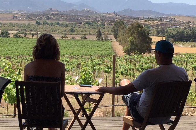 Guadalupe Valley Wine Route Tour in Baja California - Tour Conditions and Recommendations