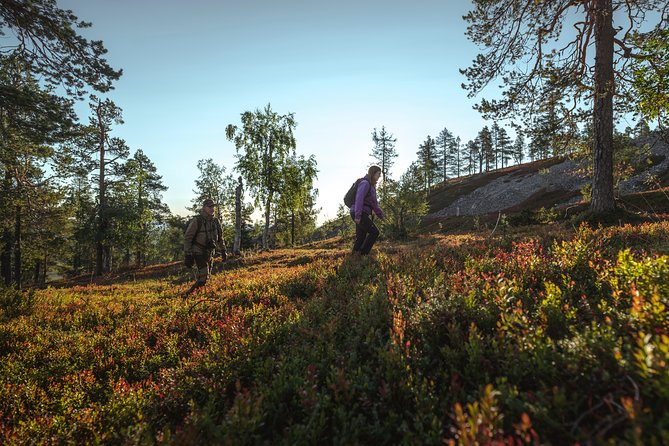 Guided Easy Hike in Finland Deepest Gorge in Pyhä-Luosto National Park - Booking and Cancellation Policy