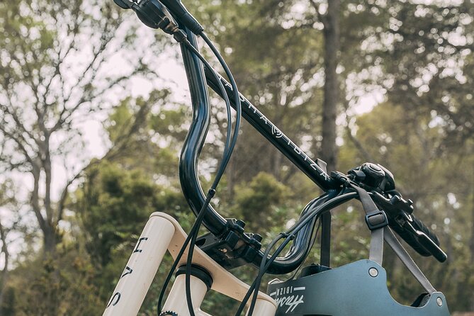 Guided Ebike Tour in Ibiza - Suitable for All Levels