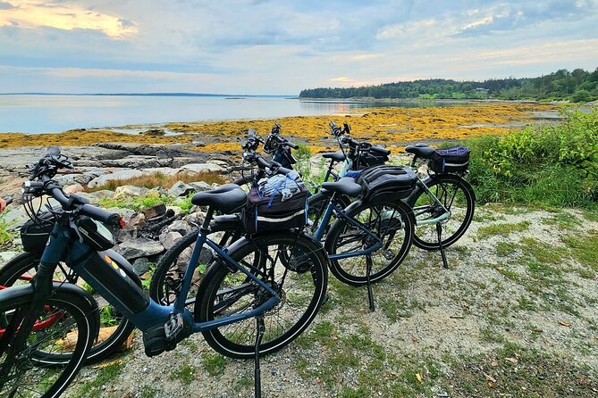Guided Ebike Tour of Acadia National Park Carriage Roads - Guides and Local Knowledge