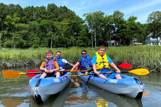 Guided Kayak Excursion Rehoboth Back Bay - Wildlife Encounters