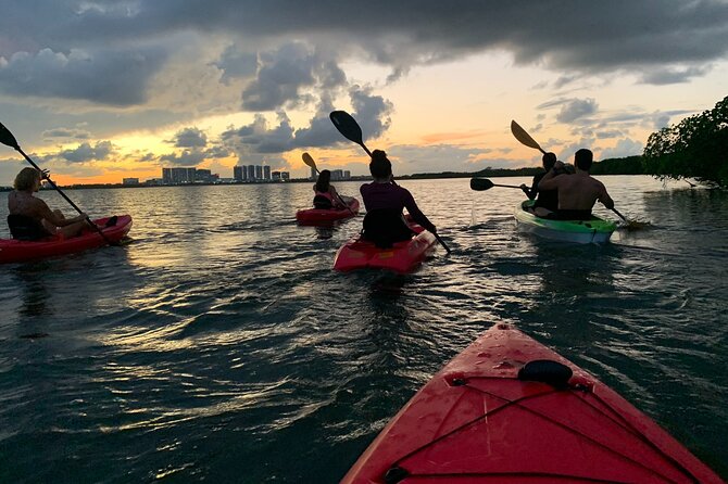 Guided Kayak Experience in Cancun - Kayaking for Beginners