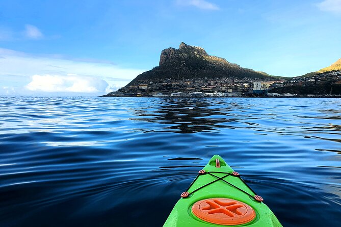 Guided Kayaking in Hout Bay - Wildlife Spotting Opportunities