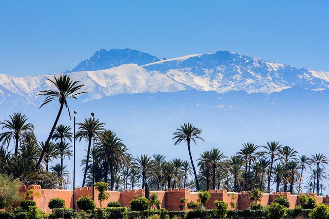 Guided Shared Day Trip Agadir to Marrakech Medina & Souks - Preparing for the Trip