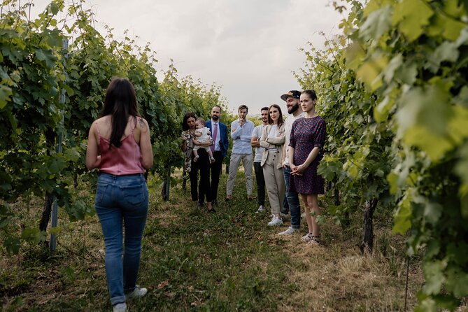 Guided Visit and Wine Tasting at the Winery in Veneto - Traveler Testimonials and Ratings