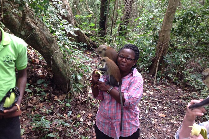 Guiding Tours In Ghana/West Africa - Traveler Experiences