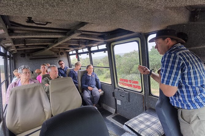 Half-Day Addo Elephant National Park - What to Expect on Safari
