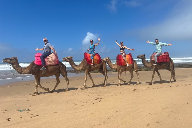 Half Day Authentic Private Tangier Tour & Camel Ride on the Beach - Booking Information