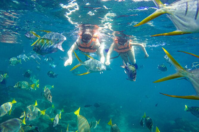 Half Day Cabo Snorkel Adventure With Lunch and Open Bar - Customer Feedback and Highlights