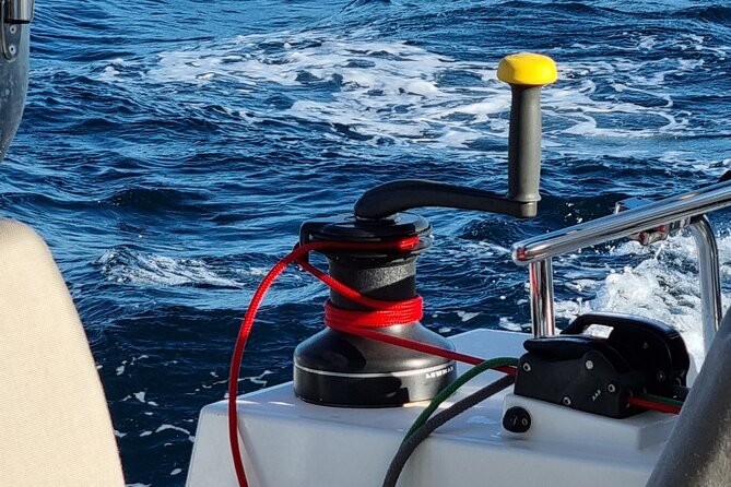Half Day Catamaran Tour in Algarve - Lagos - Exceptional Catamaran Experience