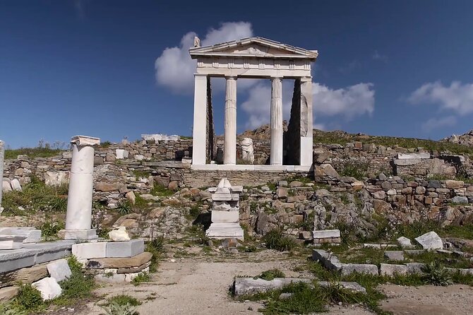 Half Day Delos Tour of Mykonos From the Cruise Ship Port - Traveler Feedback and Reviews