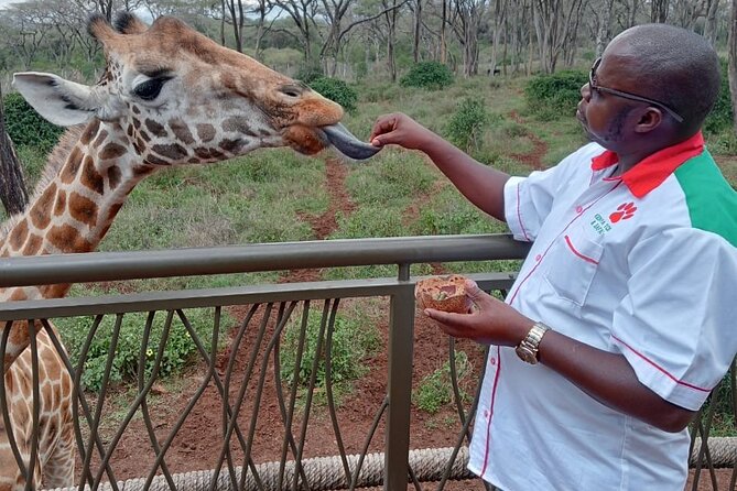 Half Day Elephant Orphanage & Giraffe CenterKobe Beads With Fees - Frequently Asked Questions