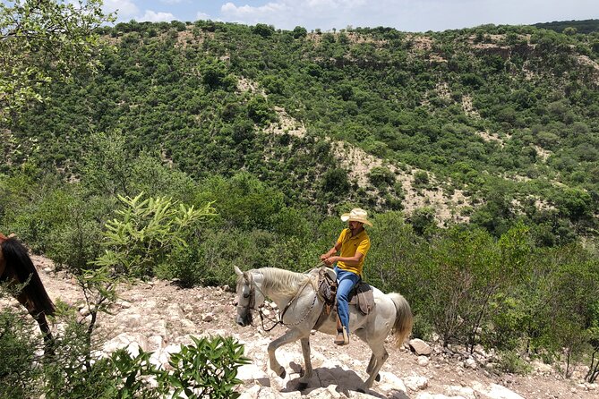 Half Day Excursion - Horseback Riding Adventure in SMA - Family-Run Ranch Operation