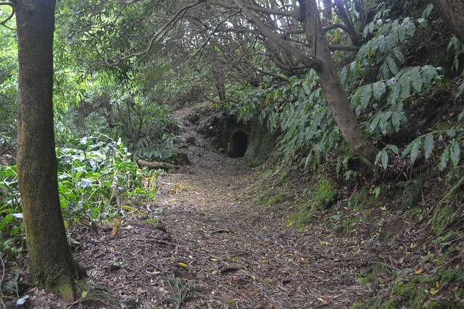 Half Day Hiking Tour Janela Do Inferno and Lagoa Do Fogo - Participant Reviews and Feedback