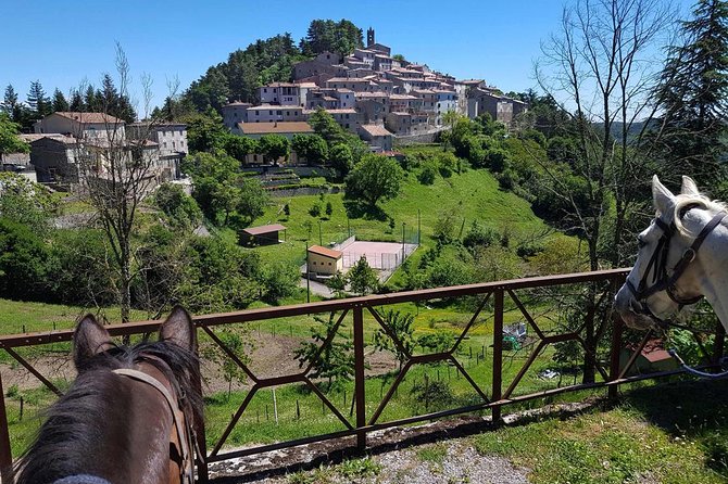 Half-Day Horseback Ride in Tuscany for Beginner Riders - Cancellation Policy and Customer Satisfaction