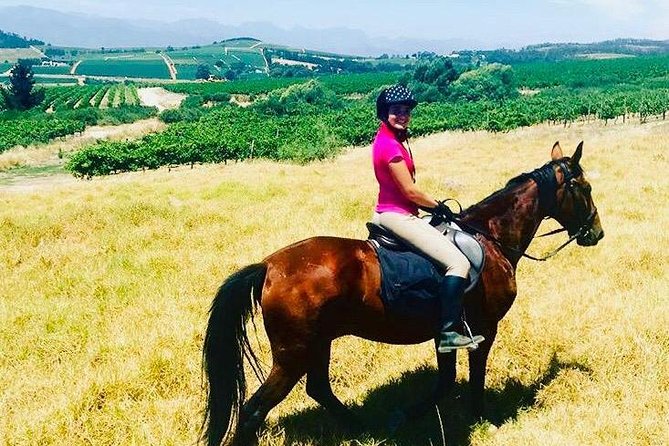 Half Day Horseback Wine Tour - A Personalized Equine Adventure