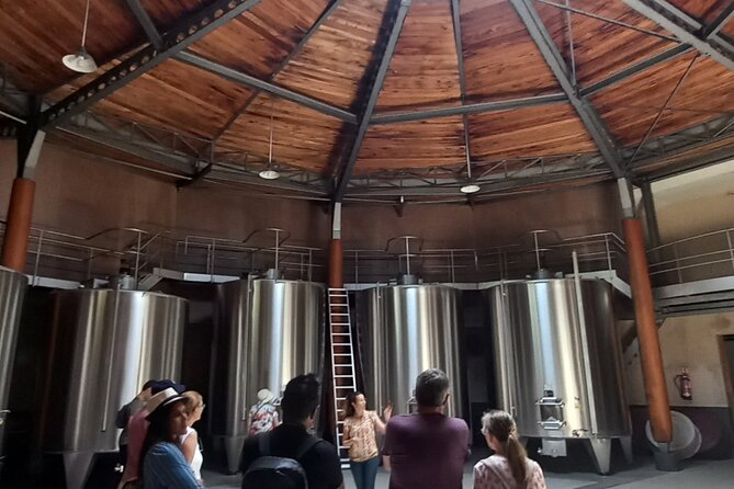 Half-Day in the Bordeaux Vineyard and Wine Tastings - Visiting the Wineries