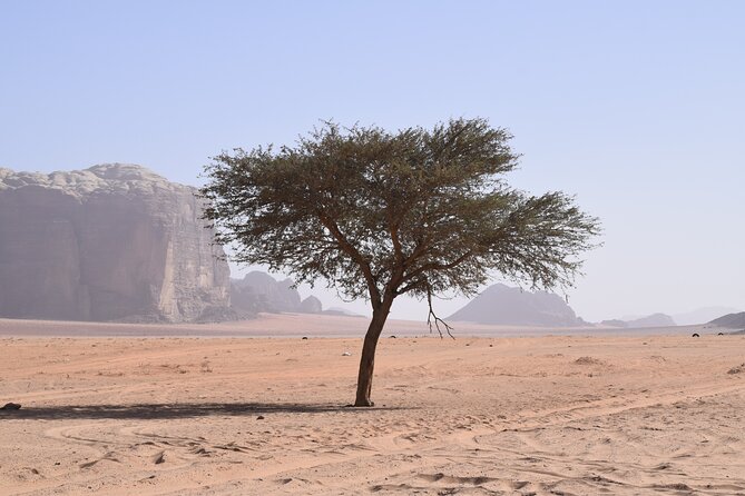 Half Day Jeep and Camel Tour No Stay - Operator Information