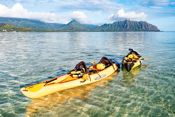 Half-Day Kaneohe Bay Sandbar Self-Guided Kayaking Experience - Traveler Feedback and Suggestions