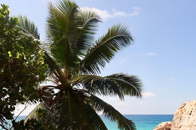 Half-Day Mahe Private Tour - Highlights of the Tour