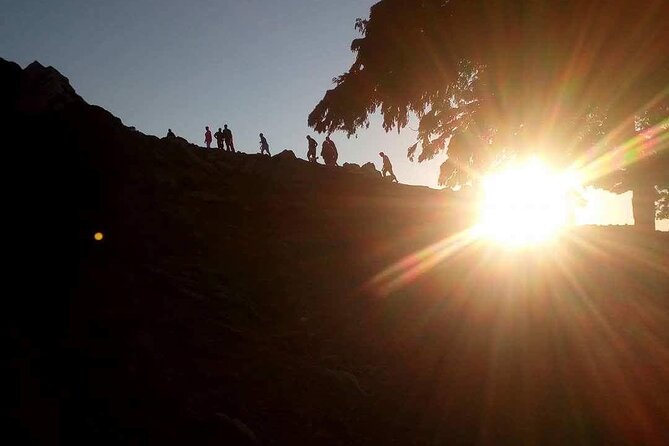 Half Day Premium Sunset Safari Tour in Northwest Corfu - Traveler Reviews