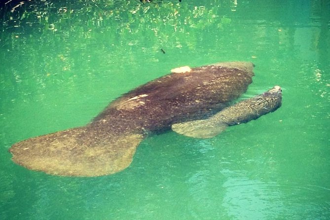 Half Day Private Boat Tour - Whats Included in the Tour