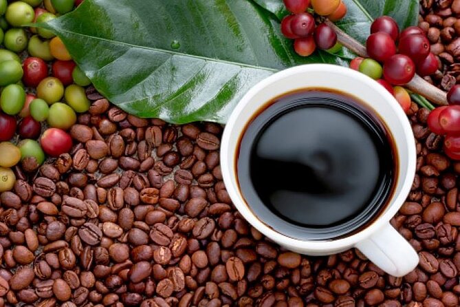 Half-Day Private Fairview Estate Coffee Farm Tour With Pick up - Tips for an Enjoyable Visit