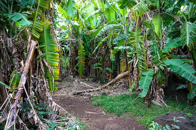 Half Day Private Tour: Caves and Volcanic Refuges - Exploring Volcanic Caves