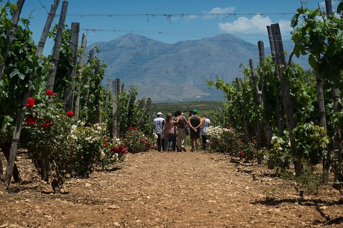 Half-Day Private Tour in Two Wineries and Archanes From Heraklion - Reviews and Ratings