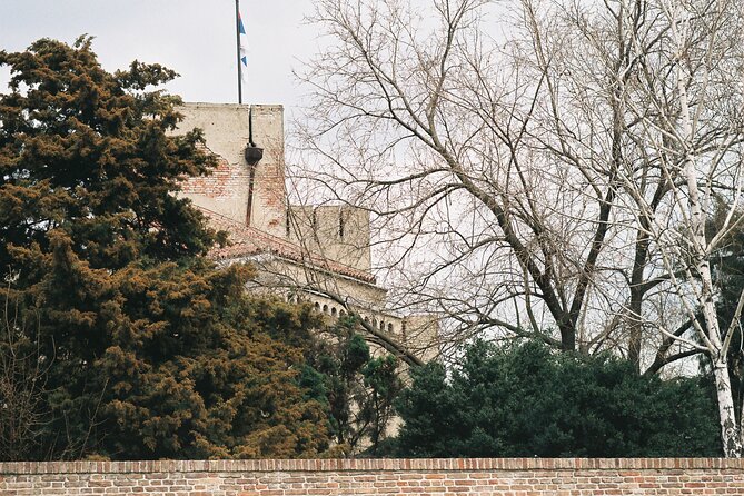 Half-Day Sightseeing and Walking Tour of Belgrade City - Traveler Feedback and Insights