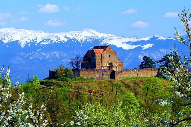 Half Day Tour In the Surroundings of Sibiu - Activity The Sum Up